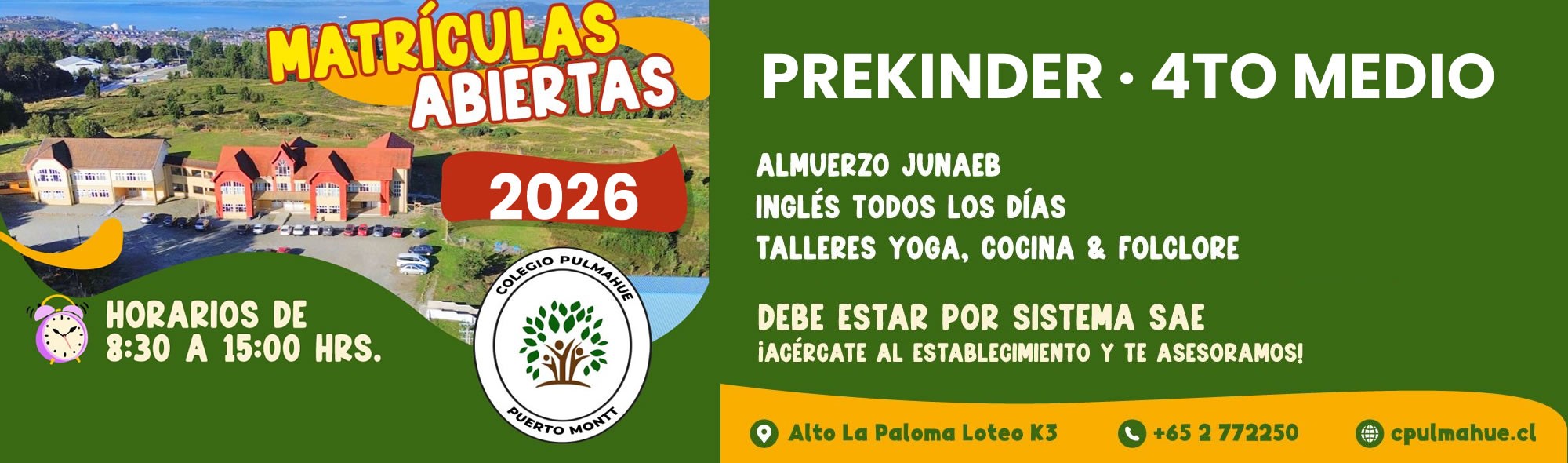 Colegio Pulmahue